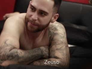 Zeusb