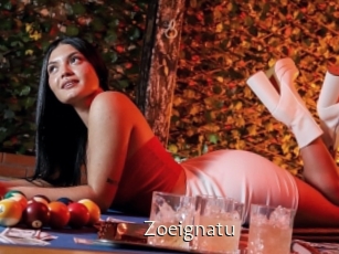 Zoeignatu