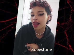 Zooestone